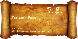 Tantos Emese névjegykártya